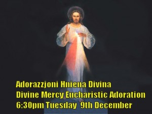 Divine Mercy Adoration